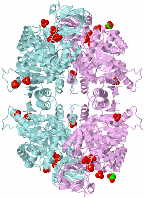 Image Biological Unit 2