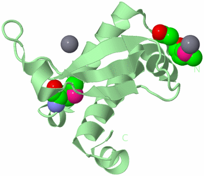 Image Biological Unit 2