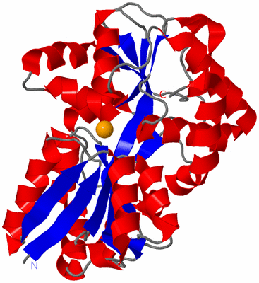 Image Asym./Biol. Unit