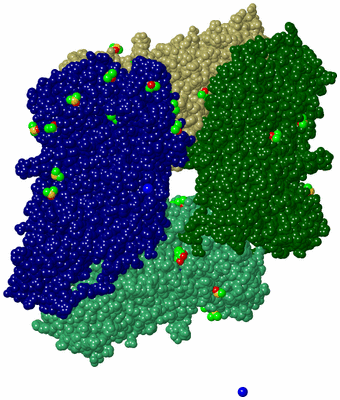 Image Asym./Biol. Unit