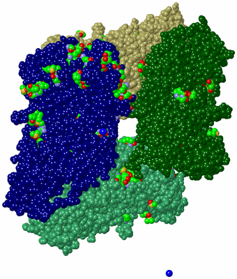 Image Asym./Biol. Unit - sites