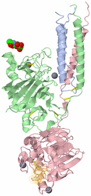 Image Biological Unit 1