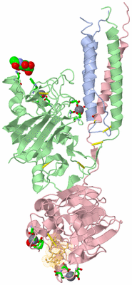 Image Biol. Unit 1 - sites