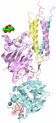 Image Biological Unit 2