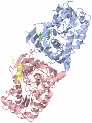 Image Biological Unit 1