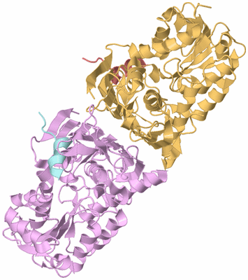 Image Biological Unit 2