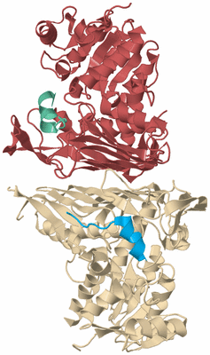 Image Biological Unit 3