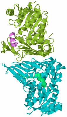 Image Biological Unit 4