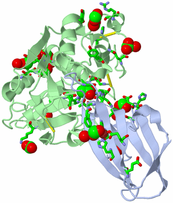 Image Asym./Biol. Unit - sites