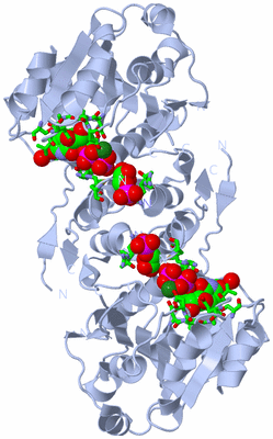 Image Biol. Unit 1 - sites