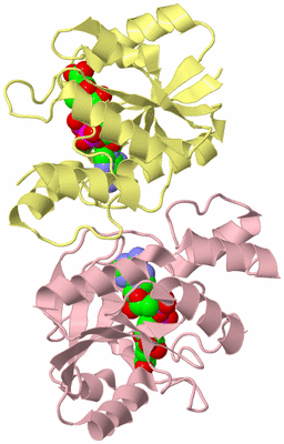 Image Biological Unit 2