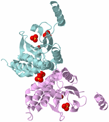 Image Biological Unit 5