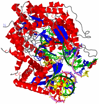 Image Asym./Biol. Unit