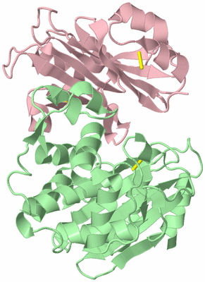 Image Biological Unit 2