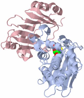 Image Biological Unit 1