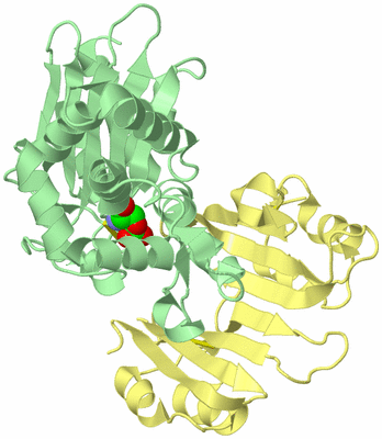 Image Biological Unit 2