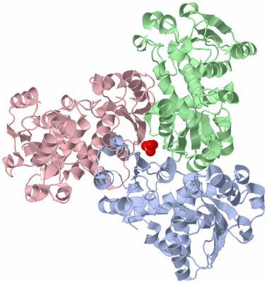 Image Biological Unit 1