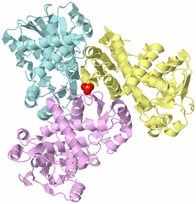 Image Biological Unit 2