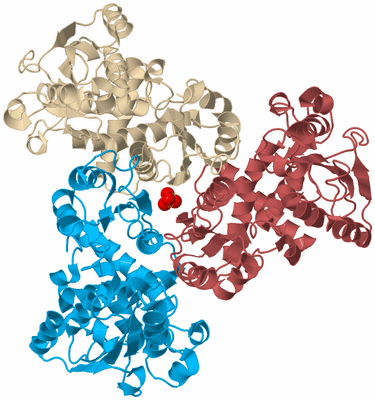 Image Biological Unit 3