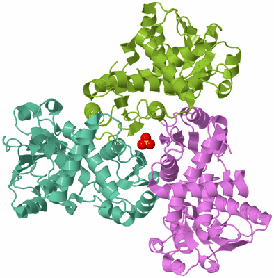 Image Biological Unit 4