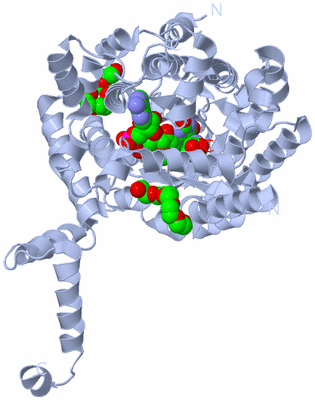 Image Biological Unit 2