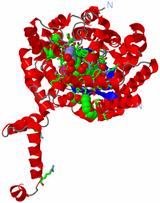 Image Asym. Unit - sites