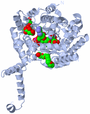 Image Biological Unit 2