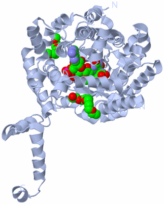 Image Biological Unit 2