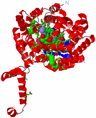 Image Asym. Unit - sites