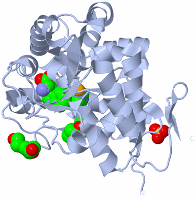 Image Biological Unit 1