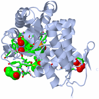 Image Biol. Unit 1 - sites