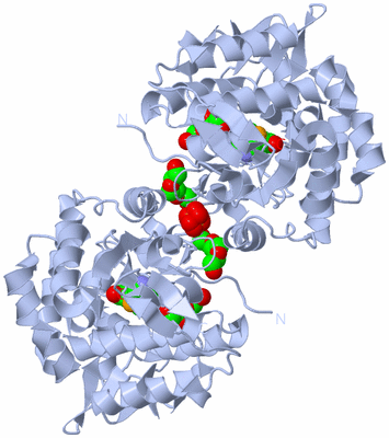 Image Biological Unit 2