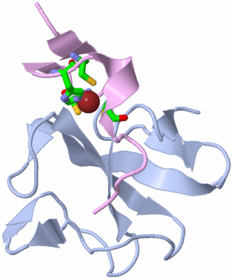 Image Biol. Unit 1 - sites