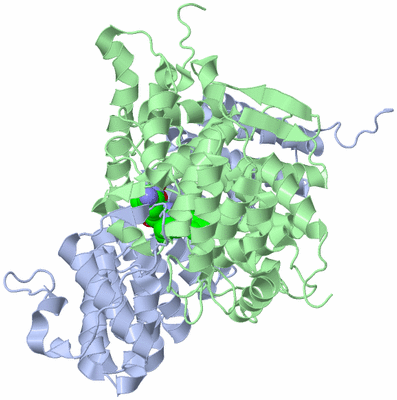 Image Biological Unit 1