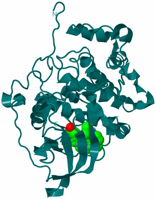 Image Biological Unit 1