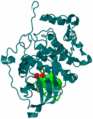 Image Biol. Unit 1 - sites