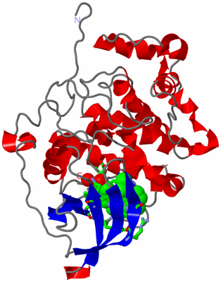 Image Asym. Unit - sites