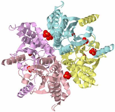 Image Biological Unit 2