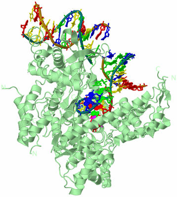 Image Biological Unit 1