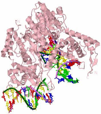 Image Biological Unit 2