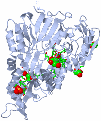 Image Biol. Unit 1 - sites