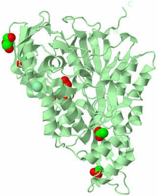 Image Biological Unit 2