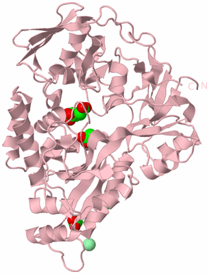 Image Biological Unit 3