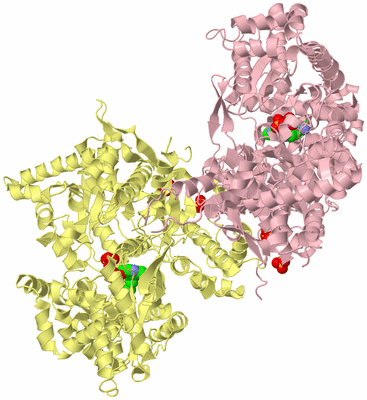 Image Biological Unit 2