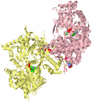 Image Biological Unit 2