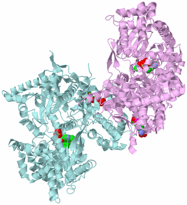 Image Biological Unit 3