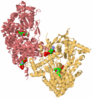 Image Biological Unit 4