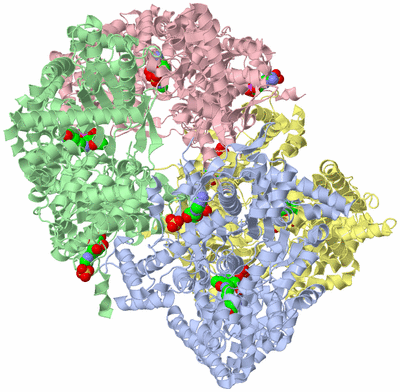 Image Biological Unit 5