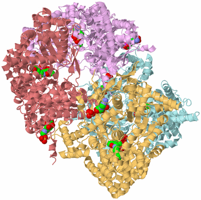 Image Biological Unit 6