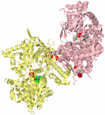 Image Biological Unit 2